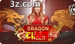 Dragon Tiger